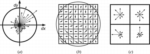 Figure 3 Generation of the SIFT descriptor. Initially, local gradient magnitudes and orientations in the neighborhood of a feature point are weighted with a Gaussian window centered at the feature position. From the result an, orientation histogram (a) is computed, For all orientations with a magnitude of > 80% of the highest peak (indicated by the circle), a descriptor is assigned. Therefore, a grid (b) is placed around the feature point and local gradient magnitudes and orientations with respect to the assigned direction are computed and weighted by a Gaussian window. (c) From the gradients in each sector of the grid, an orientation histogram is computed.