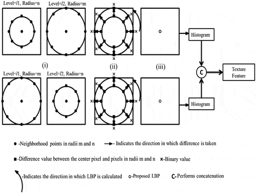 Figure 2. Multi-level gradient radial difference binary pattern.