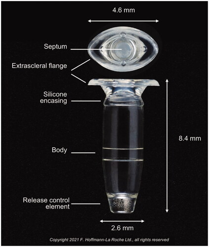 Figure 1. Figure of the port delivery system (PDS) implant with dimensions of various components as shown. Copyright 2021 F. Hoffmann-La Roche Ltd., all rights reserved. Used with permission.