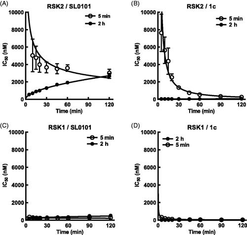 Figure 5. SL0101 and analogues interact differentially with RSK2 compared to RSK1. (A) Relative off-rate (change in IC50 after 2 h pre-incubation, N = 6 in quadruplicate) and on-rate (change in IC50 after 5 min incubation, N = 3 in quadruplicate) between SL0101 and RSK2, (B) inhibitor 1c and RSK2 (N = 5 and 2, respectively, each in quadruplicate), (C) SL0101 and RSK1 (N = 4 in quadruplicate each), or (D) inhibitor 1c and RSK1 (N = 4 and 2, respectively, each in quadruplicate). Data are plotted as IC50 with error bars representing SE of the IC50. Change in IC50 over time is fit as log-log-linear.