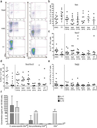 Figure 2. Intracellular cytokine expression in SA-specific CD4+ T cells. (a) The gating strategy to identify the specific cell-mediated immune responses by intracellular cytokine detection is presented. Flow cytometry was used upon 7 days of in vitro stimulation of PBMCs with the positive and negative controls. Gating was performed on CD4+CellTracelow cells. The numbers in the quadrant gates of the plots denominate each distinct population based on their cytokine (IFN-γ, IL-17, and IL-22) production. The presented results are considered representative of the range of responses obtained for all subjects. TT, tetanus toxoid (positive control). KWC, SA killed whole-cell antigen (positive control). TRAP, malaria thrombospondin-related anonymous protein (negative control). (b-e) Background (medium)-subtracted SA-specific CD4+ T-cell responses from PBMCs from healthy donors (N = 14) in terms of the frequencies of cytokine-producing cells (i.e., IFN-γ+ IL-17− IL-22− [Th1], IL-17+ IFN-γ− [Th17], IFN-γ+ IL-17+ [Th1/Th17] and IL-22+ IFN-γ− IL-17− [Th22] cells) in proliferating CD4+ T cells are presented. Each symbol represents one individual. Lines represent medians. (f) Median IL-17, IFN-γ, and IL-10 concentrations in culture supernatants of KWC-stimulated PBMCs are represented. The KWC-stimulated PBMCs were polyclonally activated, and sorted into populations of SA-specific proliferating CD4+ T cells, non–proliferating CD4+ T cells, and non-CD4+ (CD4−) cells. Results from three independent experiments performed for a total of six donors are shown. LoQ: Limit of Quantification