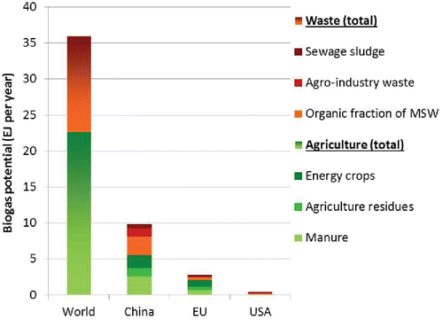 Figure 1. Energy potential of biogas.