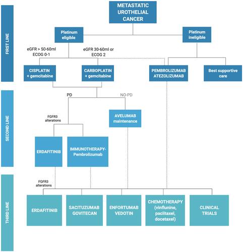 Figure 3 Flowchart of treatment of metastatic urothelial carcinoma. Adapted from the template “Flow Chart (6 Levels, Vertical)” by BioRender.com (2022).