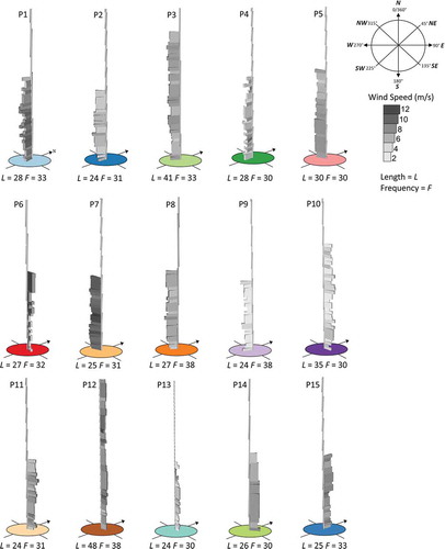 Figure 6. Visual representation of wind sequential patterns using 3D wind rose (P = pattern, L = length and F = frequency). Each of the 3D wind rose based is referred to pattern colours (refer to Figure 5).