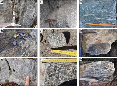 Figure 3. Most representative bedrock lithologies of the area: (a) TNa paragneiss; (b) TNb orthogneiss (‘Truzzo metagranite’); (c) TNc amphibolites; (d) CUa banded amphibolites; (e) CUa massive amphibolites; (f) CUb ultramafites; (g) CUb soapstone; (h) GCa enclaves-rich orthogneiss; (i) GCb migmatites.