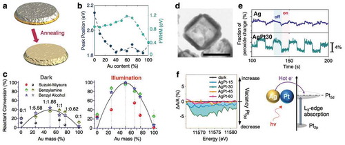 Figure 6. Plasmonic and catalytic properties of alloyed nanoparticles (a) Schematic of fabricating alloyed AuPd nanodisks by annealing deposited metal layers. (b) Experimentally measured plasmon peak location (left, dark blue) and plasmon linewidth (right, light blue) as a function of Au content percentage for alloyed AuPd nanodisks. (c) The reaction conversion percentage for three different reactions (Suzuki-Miyaura cross-coupling, benzylamine oxidation, and benzyl alcohol oxidation) over different AuPd alloys under dark (left) and illumination (400-800 nm) (right) conditions. Molar Au:Pd ratio is given above the data points in the dark condition graph. (d) TEM image of a cubic AgPt nanocage. (e) Hydrogen peroxide byproduct formation under chopped illumination for Ag nanocages compared to an AgPt alloy. Notably, the alloy shows a more pronounced decrease in hydrogen peroxide upon illumination. (f) Change in x-ray absorption near edge structure spectroscopy of various Ag:Pt concentrations under dark (black) and illumination (colored) conditions. The relative change in absorption corresponds to the change in number of vacancies in the Pt5d orbital. The schematic on the right shows the proposed mechanism – plasmonically excited hot electrons filling the Pt5d orbital. (a) Adapted with permission from [Citation95]. Copyright 2015 American Chemical Society; (b) Adapted with permission from [Citation92]. Copyright 2016 American Chemical Society; (c) Adapted with permission from [Citation19]. Copyright 2013 American Chemical Society; (d-f) Adapted with permission from [Citation29]. Copyright 2017 American Chemical Society.