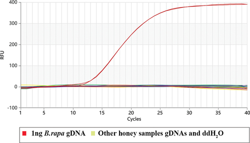 Figure 5. Determination of the honey samples with the Proofman-LMTIA assay.