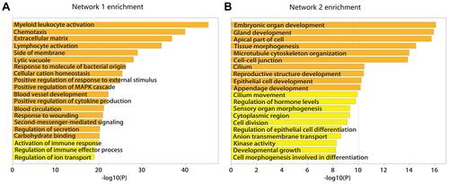 Figure 2 Functional enrichment analysis of mRNA for two networks. (A) Functional enrichment analysis for network 1. (B) Functional enrichment analysis for network 2.