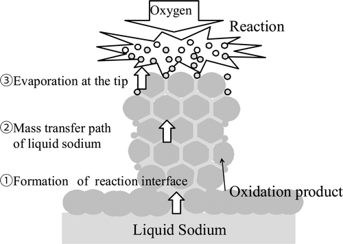 Figure 3. Influencing factors about the growth of dendritic oxide.