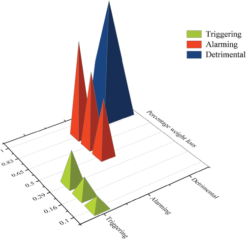 Figure 2. Corrosion level classification in present study.