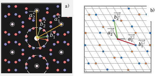 Figure 2. (a) 7×7 R19.1∘LEED pattern with the reciprocal lattice unit vectors. Red and blue short vectors indicate different domains. Dashed and dot-dashed circles indicate the inner circle around (0,0) and the one around (0, −1), respectively. (b) the real space substrate lattice and its lattice unit vectors (a⃗1, a⃗2). Blue and red points indicated the lattice associated with 7×7 R19.1∘ for two different domains, respectively. b⃗1 and b⃗2 were overlayer lattice unit vectors.