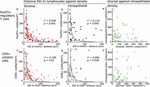 Figure 5. Changes in distances of ESI to TIL comparing biopsies and tumor resections: (a) ESI to TIL distance changes depending on the compartment [µm]. (b) Changes of ESI to TIL distance depending on the compartment [number of patients]. (c) Change of ESI to FoxP3+ TIL distance in the invasive front regarding overall survival. (d) Change of ESI to CD8+ TIL distance in the invasive front regarding overall survival. (e) Change of ESI to FoxP3+ TIL distance in the central tumor area regarding overall survival. (f) Change of ESI to CD8+ TIL distance in the central tumor area regarding overall survival