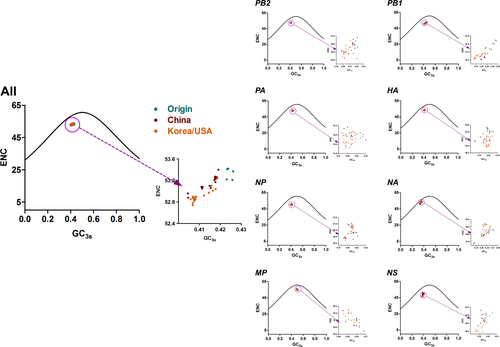 Fig. 4 Relationship between ENC and GC3s of whole genomes and different H3N2 segments.Solid curves represent the stranded ENC. Origin, China, and Korea/USA clades are represented as green, red, and orange diamonds, respectively
