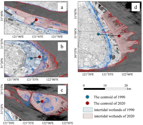 Figure 10. Spatial displacement of area-weighted centroids for main tidal wetlands in YRE from 1990 to 2020. (a) Chongming Beitan. (b) Chongming Dongtan. (c) Jiuduansha. (d) Nanhui Dongtan.