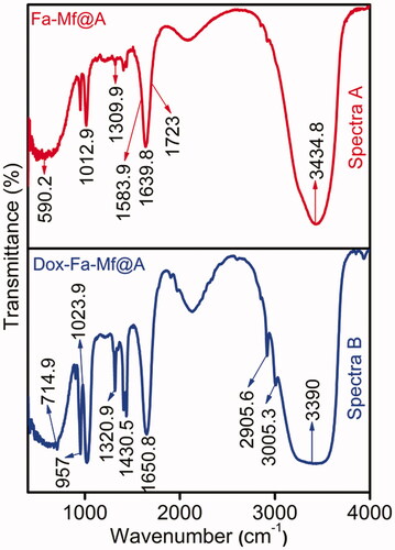 Figure 9. FTIR spectra showing the attachment of spectra. (a) Fa and spectra. (b) Dox onto Mf@A. Dox: doxorubicin; FTIR: Fourier-transform infrared spectroscopy; Mf@A: MnFe2O4@Au nanoparticles.