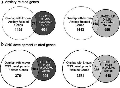 Figure 4. Comparison of DhMR-associated genes to genes related with anxiety and CNS development functions. (a) Venn diagrams display the overlap of DhMRs-associated genes with known anxiety-related genes, as identified in the LP vs. Control (left panel) and LP+EE vs. LP (right panel) comparisons. (b) Venn diagrams displaying the overlap of DhMRs-associated genes with known CNS development genes, as identified in the LP vs. Control (left panel) and LP+EE vs. LP (right panel) comparisons. Significant overlaps were identified by Chi-square test and are indicated by asterisks (*p < 0.05 **p < 0.01)