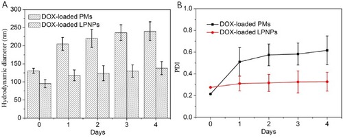 Figure 3 Hydrodynamic diameter (A) and polydispersity index (PDI) (B) of LPNPs after incubation in PBS (pH 7.4) with 20% FBS at 37°C for different time (n=3, mean±SD).