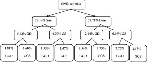 Figure 1. Pedigree completeness up to three generations back in Shall sheep. GD: Grand dam, GS: Grand sire, GGD: Grand-grand dam, GGS: Grand-grand sire.