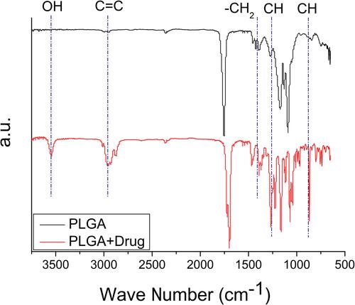 Figure 4 FTIR spectra of PLGA and simvastatin-loaded PLGA nanofibers.