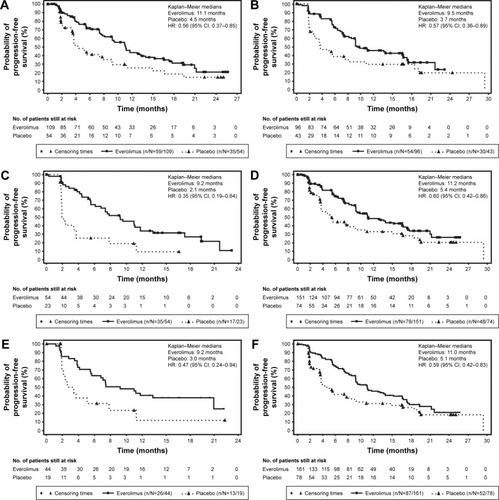 Figure 1 Progression-free survival by central review (full analysis set).