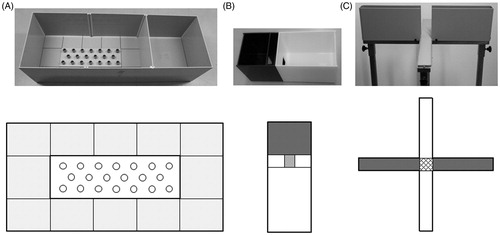 Figure 2. Pictures and schematic overviews of the behavioral set-ups used in this experiment. A: the modified Hole Board (mHB), B: the light-dark box (LD) and C: the elevated plus maze (EPM). The (light) grey areas represent the dark/’protected’ area and the white areas represent the light compartment/sections in the behavioral test set-ups. The grid lines represent the center of the EPM.