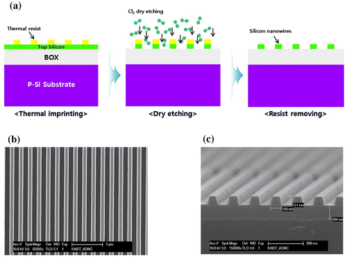 Figure 1. (a) Schematic of the fabrication process of SiNWs by NIL, involving ICP dry-etching. (b) SEM image of nanoimprinted SiNWs. (c) SEM image of the cross-section of the SiNWs fabricated on SOI wafer.