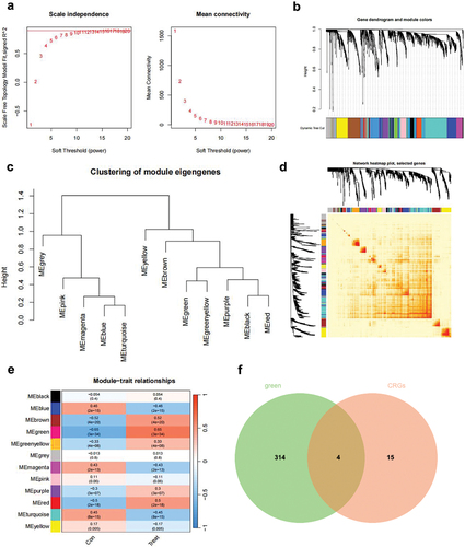 Figure 5. WGCNA co-expression analysis of COVID-19 and control group-related genes.