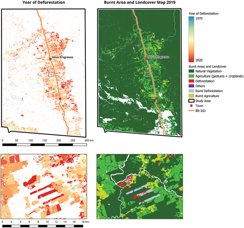 Figure 5. Year of deforestation map (left) and burned area and land cover map (BLCM) for 2019 with exemplary subset of intensive deforestation south of Novo Progresso.