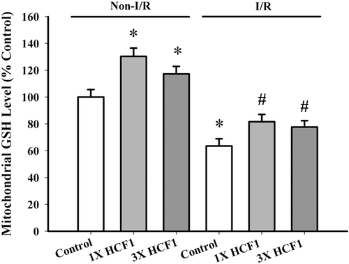 Figure 8.  The effect of long-term HCF1 pretreatment on mitochondrial GSH level. Rats were orally treated with HCF1 at daily doses of 1.14 and 3.42 mg/kg for 14 consecutive days. Mitochondrial GSH level was measured as described. Data were expressed in percent control with respect to the non-I/R control (Non-I/R control GSH level = 2.281 ± 0.15 nmol/mg protein). Values given are mean ± SEM, with n = 5. *Significantly different from the non-I/R control group; #Significantly different from the I/R control group.