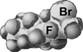 Figure 11 Molecular model of F-octyl bromide showing the lipophilic bromine atom protruding at the end of the linear chain.