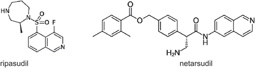 Figure 1. Rho-kinase inhibitors in clinical use, ripasudil and netarsudil.