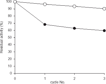 Figure 3. Effect of pH cycling on the activity of enzyme. The activity of the immobilized preparation (•) was assessed by lowering the pH to precipitate the immobilized enzyme, dissolving it again by increasing the pH and assaying it. The initial activities of both free enzyme as well as immobilized enzyme were taken as 100%. Free enzyme (○) was also passed through same pH changes. This cycle was repeated 3 times.