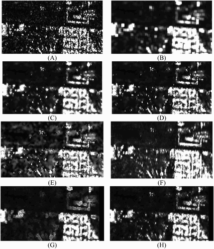 Figure 12. A small subset of the San Francisco image (A) original one-look HH intensity image, (B) the 5 × 5 average filtered image, (C) the 5 × 5 MMSE (Lee Citation1980, Citation1981a) filtered image, (D) the 5 × 5 enhanced Lee (Lopes, Touzi, and Nezry Citation1990) filtered image, (E) the 5 × 5 Gamma (Lopes et al. Citation1993) filtered image, (F) PPB (Deledalle, Denis, and Tupin Citation2009) filtered image with hw = 20, hd = 5, and 1 iteration, (G) average filtered image with adaptive window size, and (H) MMSE filtered image with adaptive window size highlighting urban areas from the San Francisco image.