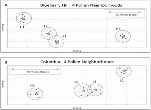 FIGURE 1 Physical map of Blueberry Hill (top) and Columbia (bottom), showing the locations of the eight pollen neighborhoods and the precise locations of the five clones comprising each neighborhood and the central focal recipients. Neighborhood areas, as measured by the area internal to a linear perimeter connecting the five donors, ranged from 30.2–110.7 m2 with a mean area of 69.7 m2. Scale insets are also shown. The designations H1, H2, L1, and L2 indicate relative natural yield potential under open pollination conditions (fruit set)—H for high, L for low. Blueberry Hill and Columbia are approximately 12.5 km apart (color figure available online).