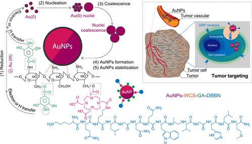 Scheme 2 Route of AuNPs formation and stabilization by WCS-GA-DBBN including tumor targeting mechanism.