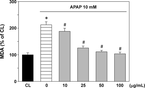 Figure 2.  Effect of T. sarmentosa on malondialdehyde (MDA) level in clone-9 cells treated with acetaminophen (APAP). Results have been given as percentage over control (CL). Cells were kept as CL or treated with 10 mM APAP. Before stimulation with acetaminophen (APAP), clone-9 cells were pretreated with 0−100 μg/mL aqueous extract of T. sarmentosa for 1 h. Each bar represents the mean ± standard error of the mean (SEM) from six independent experiments. *p < 0.05 versus CL. #p < 0.05 versus APAP-treated cells.