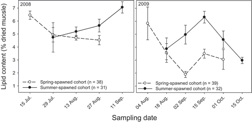 FIGURE 9. Lipid content of spring and summer juvenile Bluefish collected biweekly from the lower Hudson River estuary during the summer and early autumn of 2008 and 2009. Error bars represent standard errors.