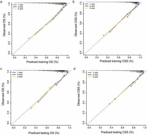 Figure 5. (a): OS calibration diagram in the training set. (b): CSS calibration diagram in the training set. (c): OS calibration diagram in the validation set. (d): CSS calibration diagram in the validation set