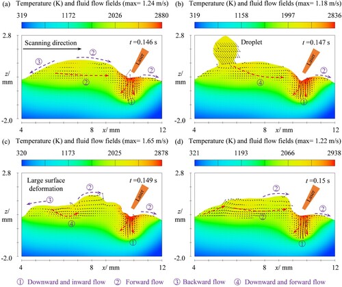 Figure 9. Numerical result of the molten pool in hybrid-laser–GMAW-based DED.