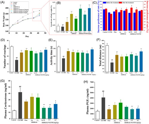 Figure 6. Pharmacodynamic study of albiflorin-NGSTH on the CUMS rats. (A) Change of body weight of the rats. (B) Growth rate of body weight of rats. (C) Sucrose preference of rats. (D) Number of rearings of the rats. (E) Activity time of rats. (F) The total distance of rats. (F) Corticosterone concentration in plasma of rats. (H) PGE2 concentration in plasma of rats. ##p <.01, compared with the control group. *p <.05 or **p <.01, compared with the CUMS group.