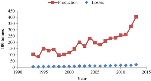 Figure 1. The production quantity and losses of chickpea crop in Ethiopia.Source: FAOSTAT, Citation2019. Available online: http://www.fao.org/faostat/en/?fbclid=IwAR3XaS5Uk_q1_uFqVOH6uouvL2IcDHzeMgov2KFePAdfjKUWMLtHBs3CdsM#compare