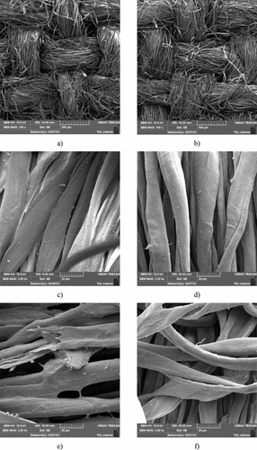 Figure 5. Surface structure of the cotton fabrics: a) HPHO warp and weft, b) HPHI warp and weft, c) HPHO warp thread detail, d) HPHI warp thread detail, e) HPHO weft thread detail, and f) HPHI weft thread detail.