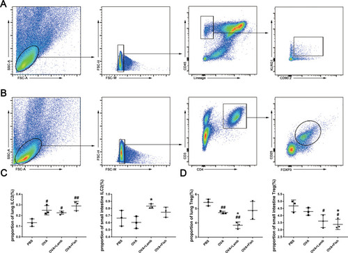 Figure 6 Effect of lamb and fish on ILC2 and Treg. (A) The gating strategy of ILC2. Lin-CD45+CD90.2+KLRG1+ cells were considered as ILC2. (B) The gating strategy of Treg. Treg was indicated as CD3+CD4+CD25+Foxp3+. (C) The proportions of KLRG1+ ILC2 among CD45+ cells in the lungs and small intestines. (D) The proportions of Treg among CD4+ cells in the lungs and small intestines. All data were expressed as mean ± SEM. Compared with the PBS group, ## P <0.01 # P <0.05; compared with the OVA group, *P <0.05. n= 3.