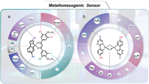 Figure 10. (Colour online) The schematic exhibition of pyrimidine-based liquid crystals coordinated with palladium and platinum as metallomesogens and non-conventional functional mesomorphic materials for application in sensors.