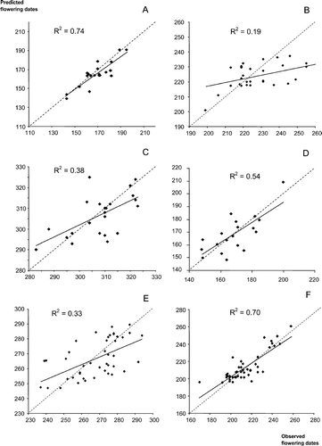 Results of cross-validation test: predictions in different Spanish locations not included in the model fit using parameter estimates of the closest population. A. Alnus; B. Betula; C. Castanea; D. Corylus; E. Olea; F. Platanus; G. Populus; H. Quercus; I. Tilia; J. Cupressaceae; K. Plantago; L. Poaceae. Dates are in day of the year. The dashed strait line is the bisector (100% matching between predictions and observations).