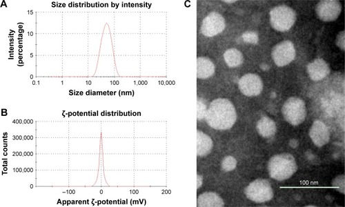 Figure 1 Characterization of NLCs.Notes: (A) Particle-size distribution spectrum of Vrc-NLCs; (B) ζ-potential of Vrc-NLCs; (C) morphology of Vrc-NLCs determined by TEM.Abbreviations: NLCs, nanostructured lipid carriers; Vrc, voriconazole; TEM, transmission electron microscopy.