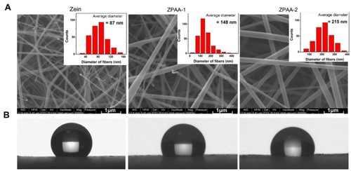 Figure 4 (A) SEM images showing the representative morphologies and diameter distributions of zein, ZPAA-1, and ZPAA-2 membranes (B) Water contact angles of zein, ZPAA-1, and ZPAA-2 membranes.
