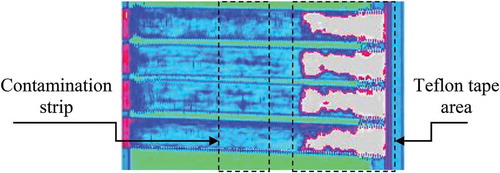 Figure 7. Ultrasonic C-scan of the DCB contaminated specimens.