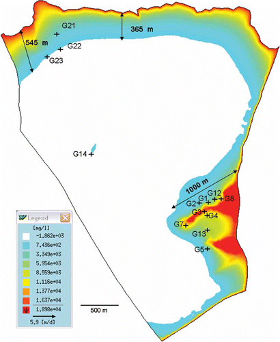 Fig. 10 Saltwater intrusion extent based on chloride concentration (mg/L) for layer 3.