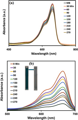 Figure 11. Degradation of MB, over time, in the absence of UVA light (a) and under UVA light (b) using NiO-NPs.